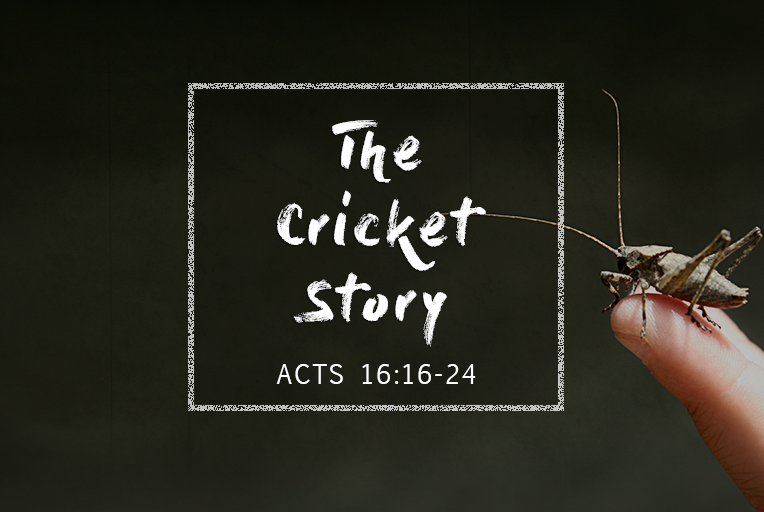 the-cricket-story-joshua-biggar-official-site